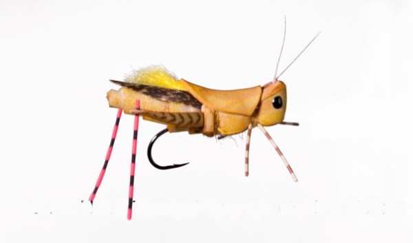 head turner hopper fly head turner hopper fly
